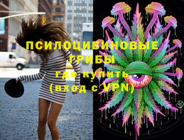 apvp Надым