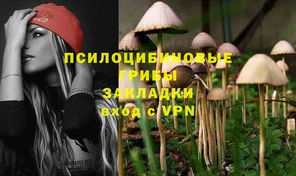 ALPHA PVP Нефтекумск