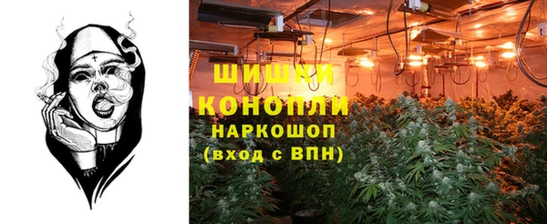 ALPHA PVP Нефтекумск