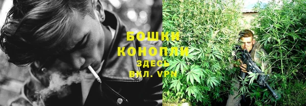 сатива Нефтегорск