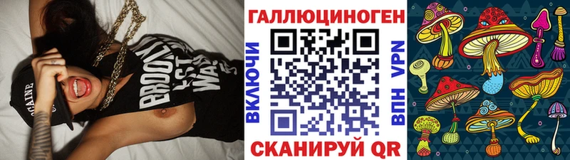 Псилоцибиновые грибы Cubensis  Избербаш 