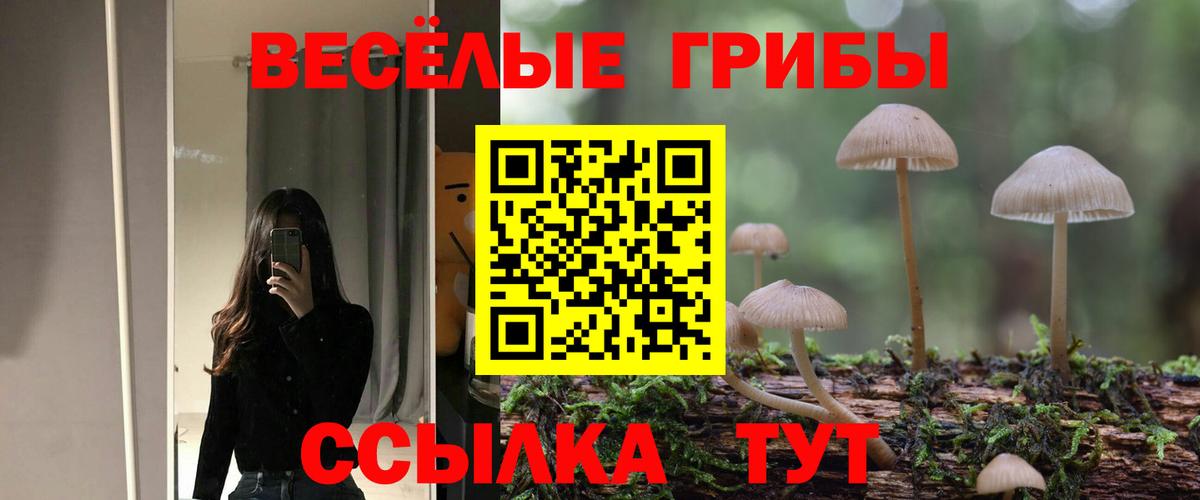 Галлюциногенные грибы Cubensis Избербаш