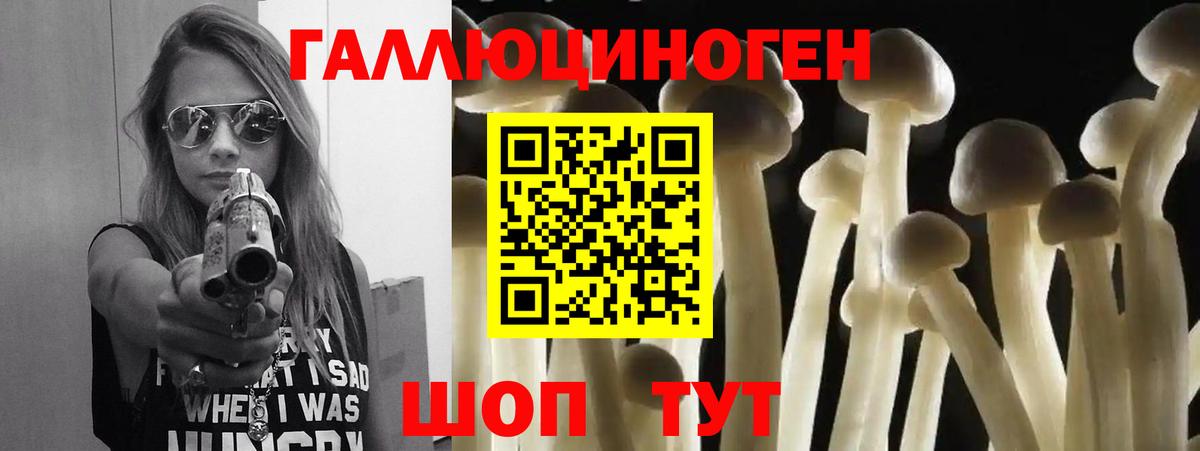 Галлюциногенные грибы Magic Shrooms  Псилоцибиновые грибы мицелий  где купить наркоту  Избербаш 