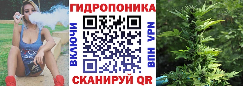 наркотики  Избербаш  Шишки марихуана Amnesia 